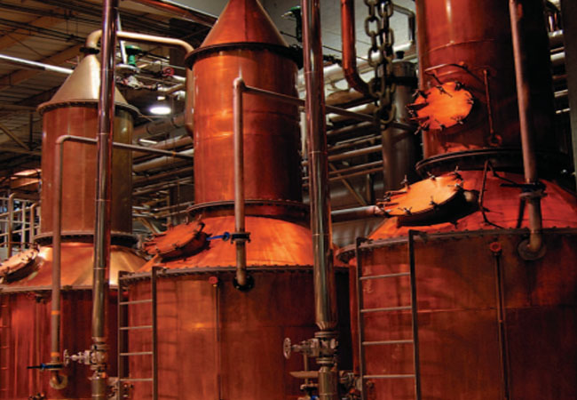 завод по производству текилы Ольмека